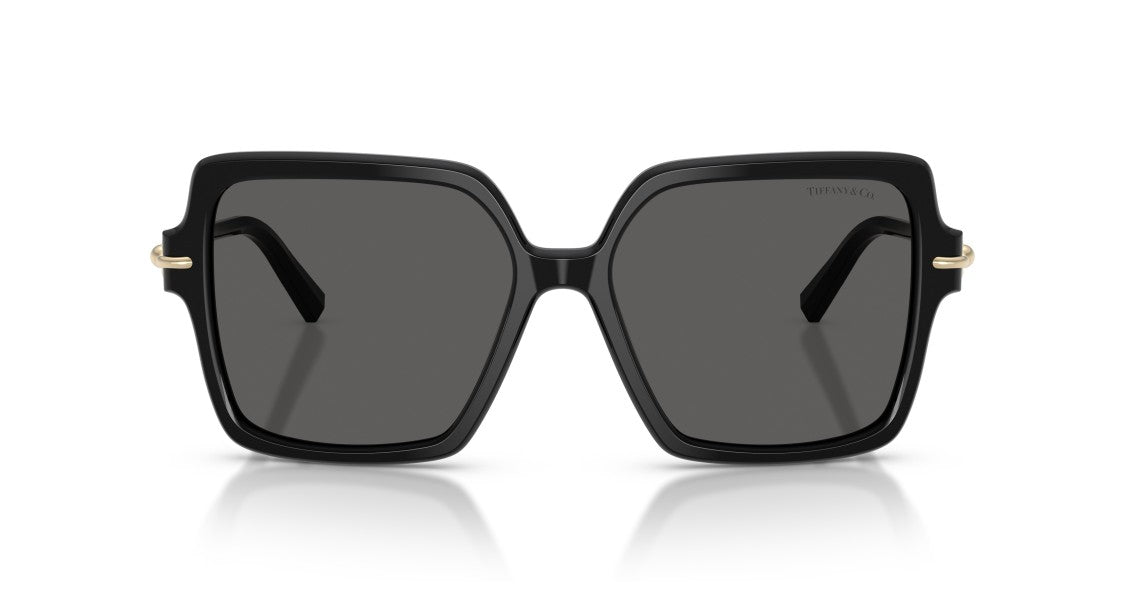 Tiffany & Co. 0Tf4260u Oversized Square Black Sunglasses