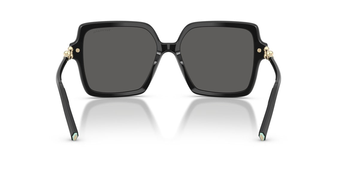 Tiffany & Co. 0Tf4260u Oversized Square Black Sunglasses