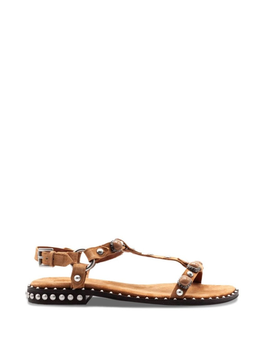 Ash T-Strap Sandals With Brown Stud Embellishments