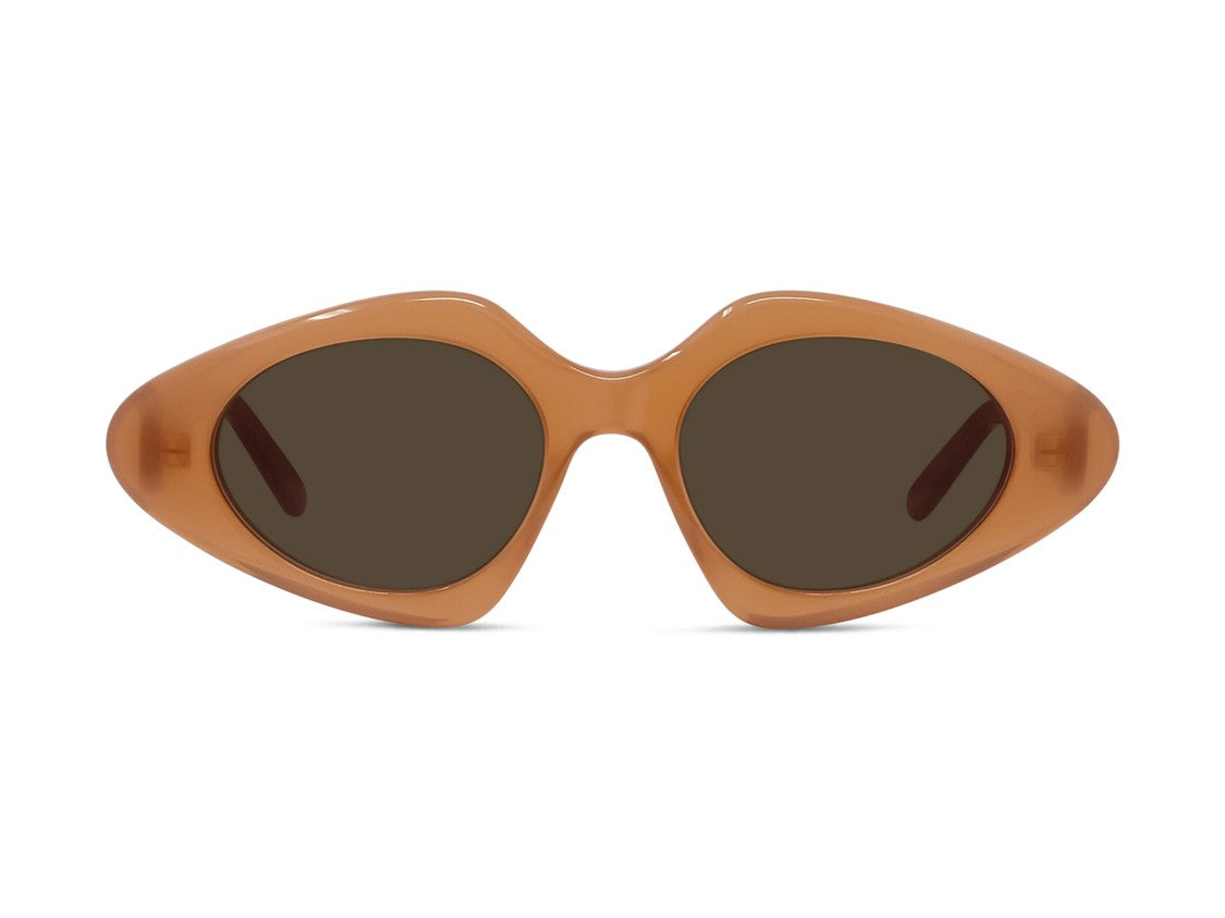 Loewe Glossy Lw40185i Oversized Cat-Eye Acetate Sunglasses