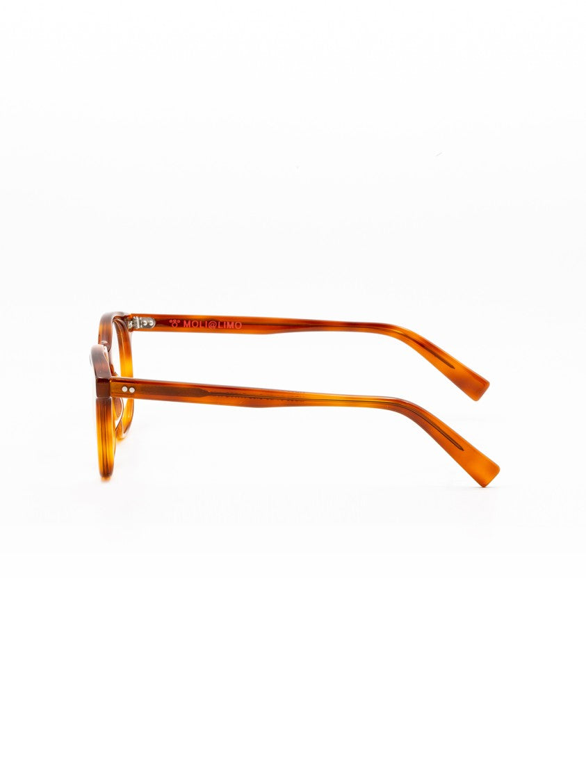 Moli@Limo Brown Md85 Chic Acetate Frames