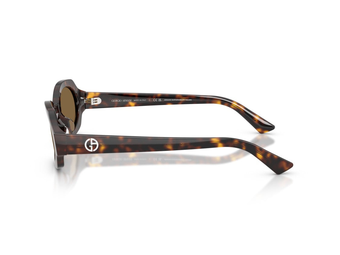 Giorgio Armani 0Ar8245hu Tortoiseshell Acetate Sunglasses
