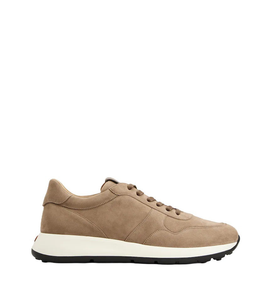 Tod's Sportivo 79K Sneakers In Light Clay Goat Leather