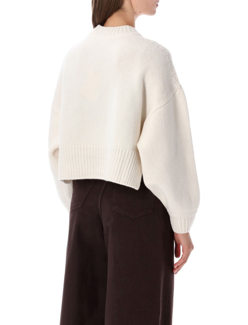 Sessùn Spero Chunky Knit Cropped Crewneck Sweater