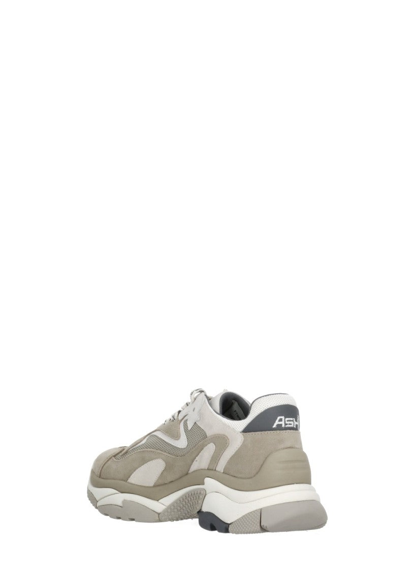 Ash Addict Suede Sneakers