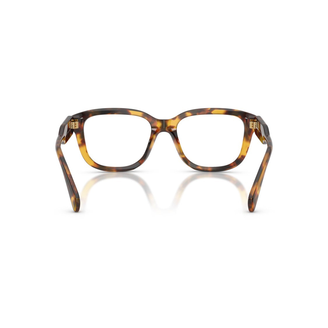 Miu Miu 0Mu 02Zv Oversized Square Tortoiseshell Frame Miu Miu Eyeglasses