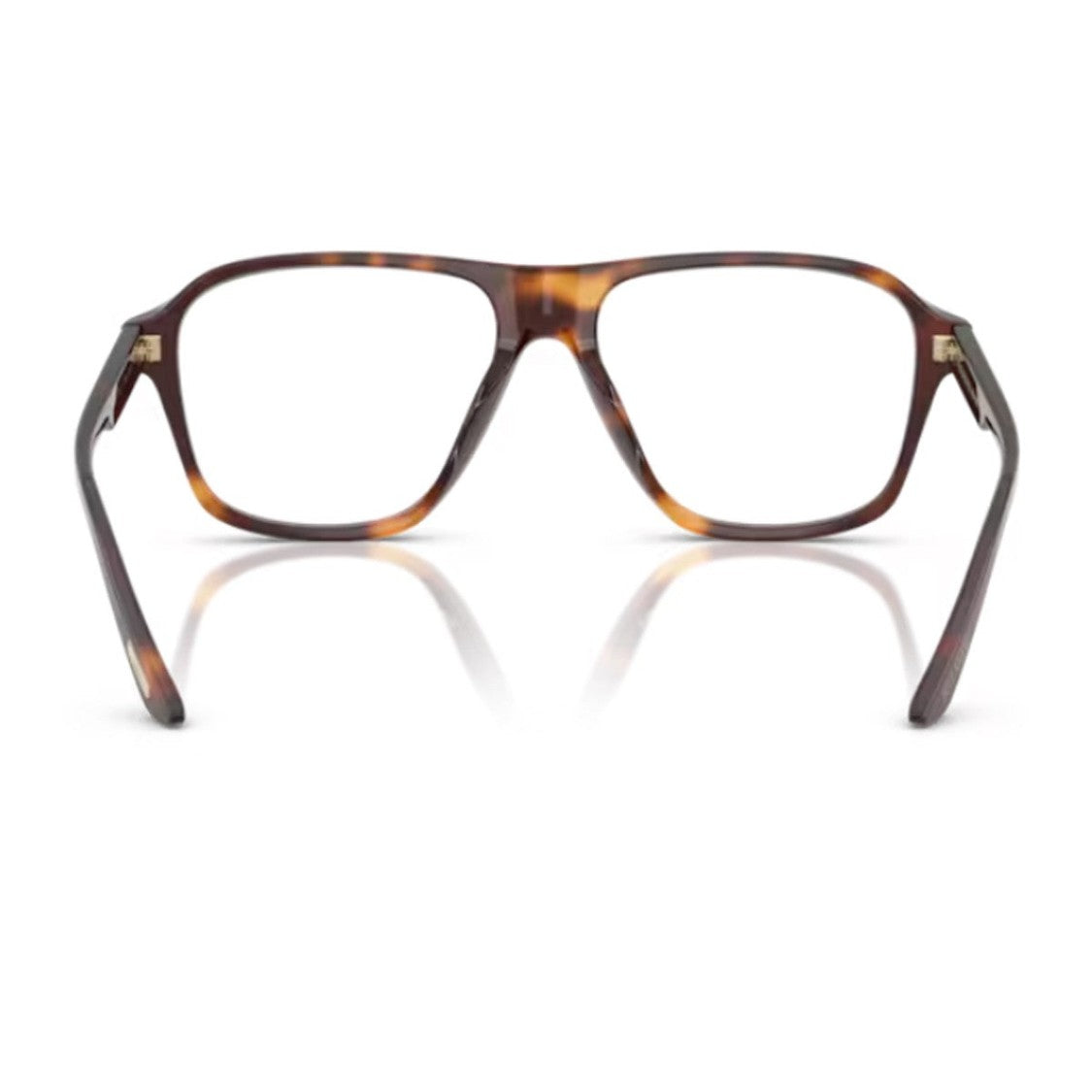 Oliver Peoples Brown Ov5584u 1978Rx Acetate Sunglasses