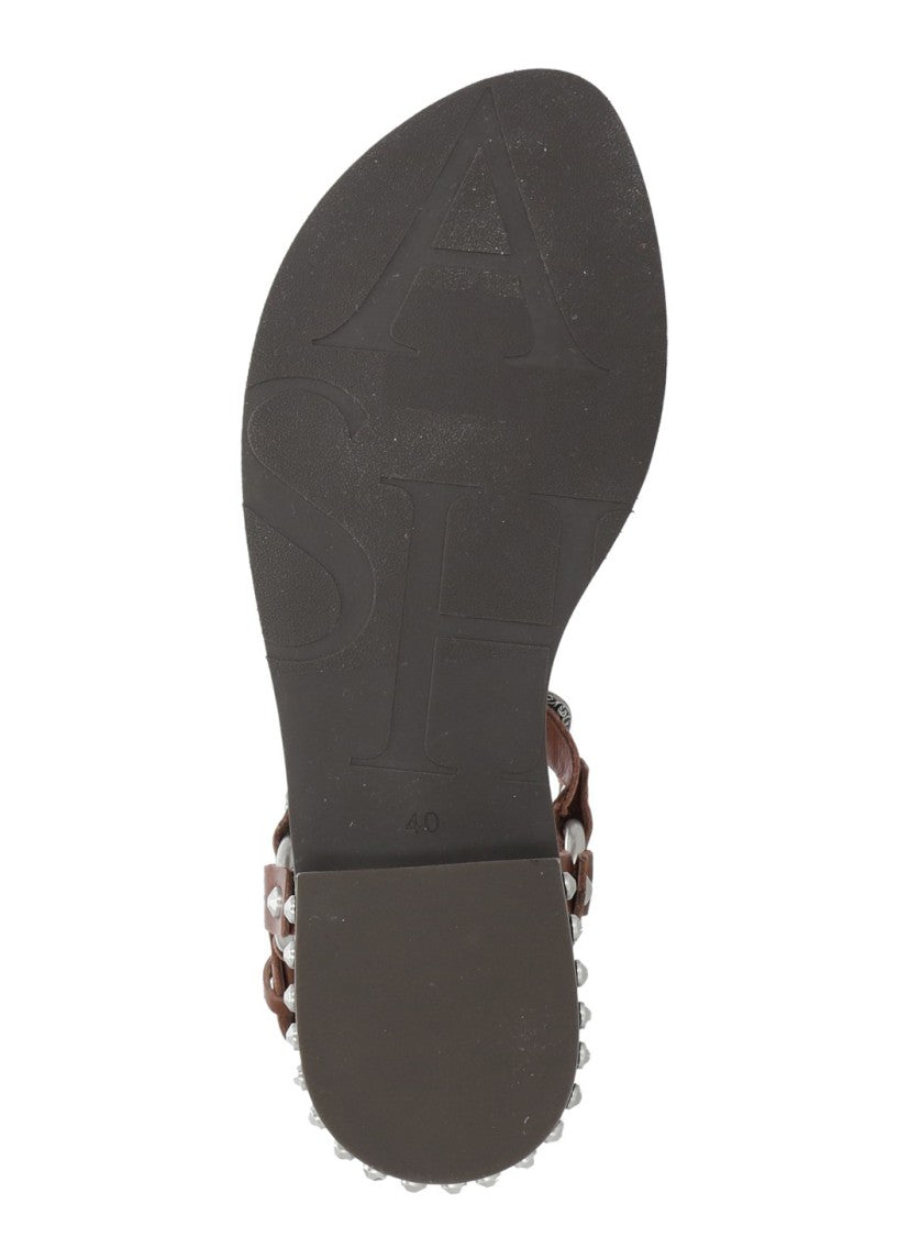 Ash Bordeaux Podium Studded Leather Sandals