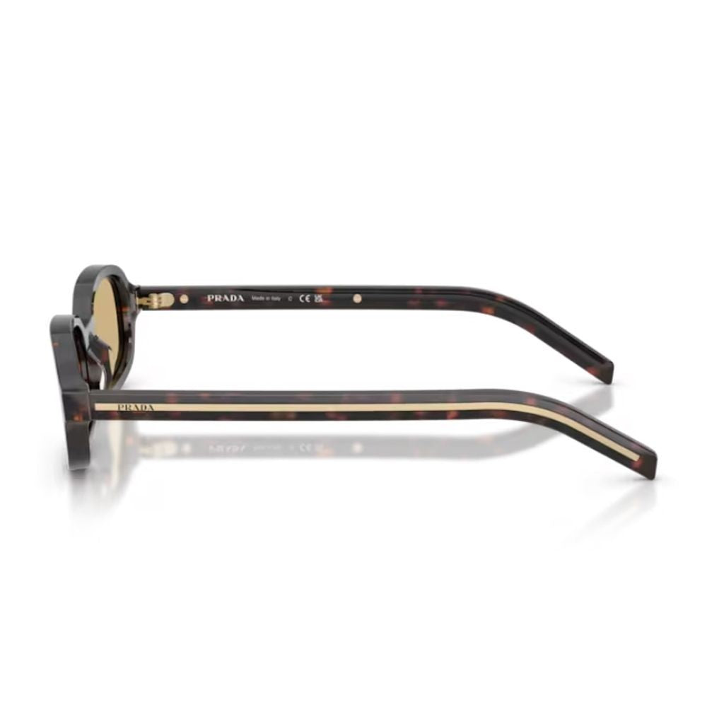 Prada Root Tortoiseshell Pr D06s Sunglasses