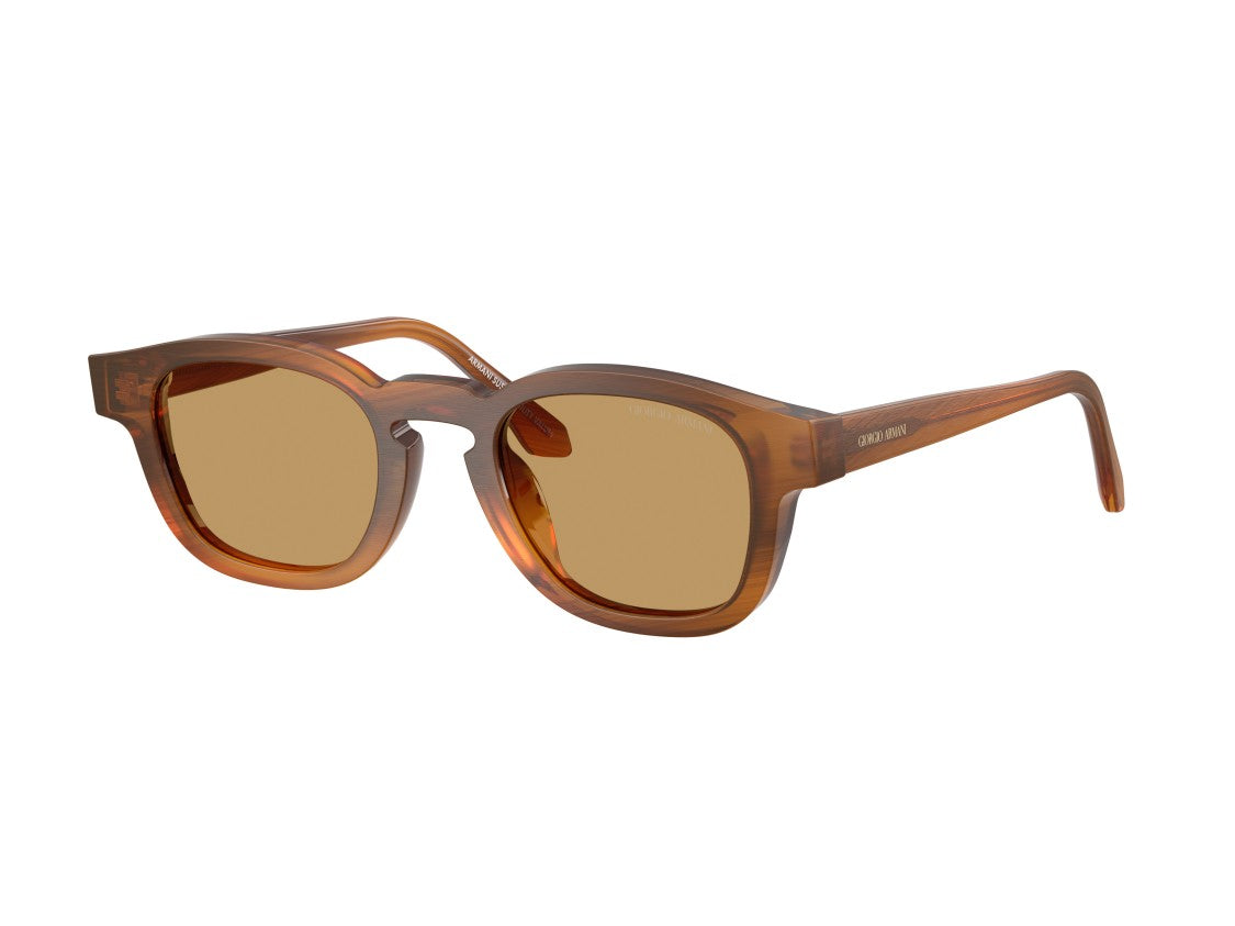Giorgio Armani Brown 0Ar8254u Translucent Acetate Square Sunglasses