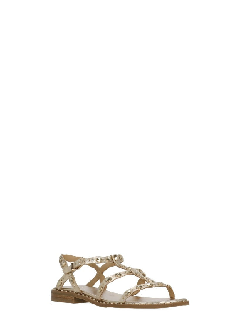 Ash Leather Sandals With Ankle Strap And Stud Details