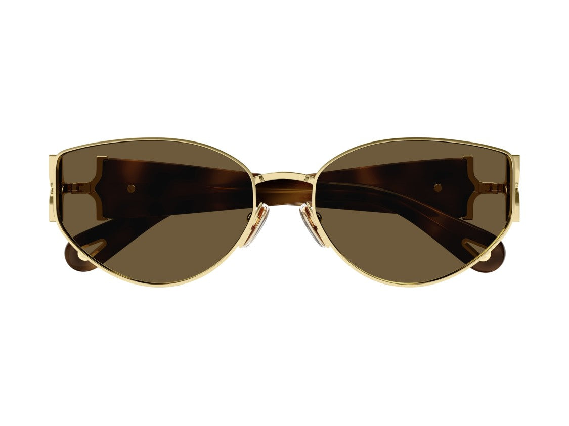 Chloé Ch0260s Tortoiseshell Bold Cat-Eye Sunglasses