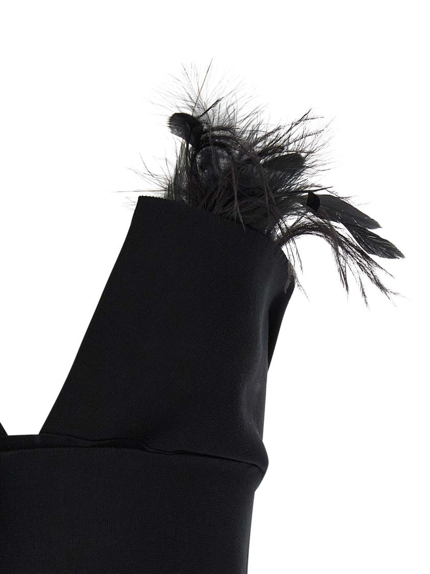 Alberta Ferretti Feather Top