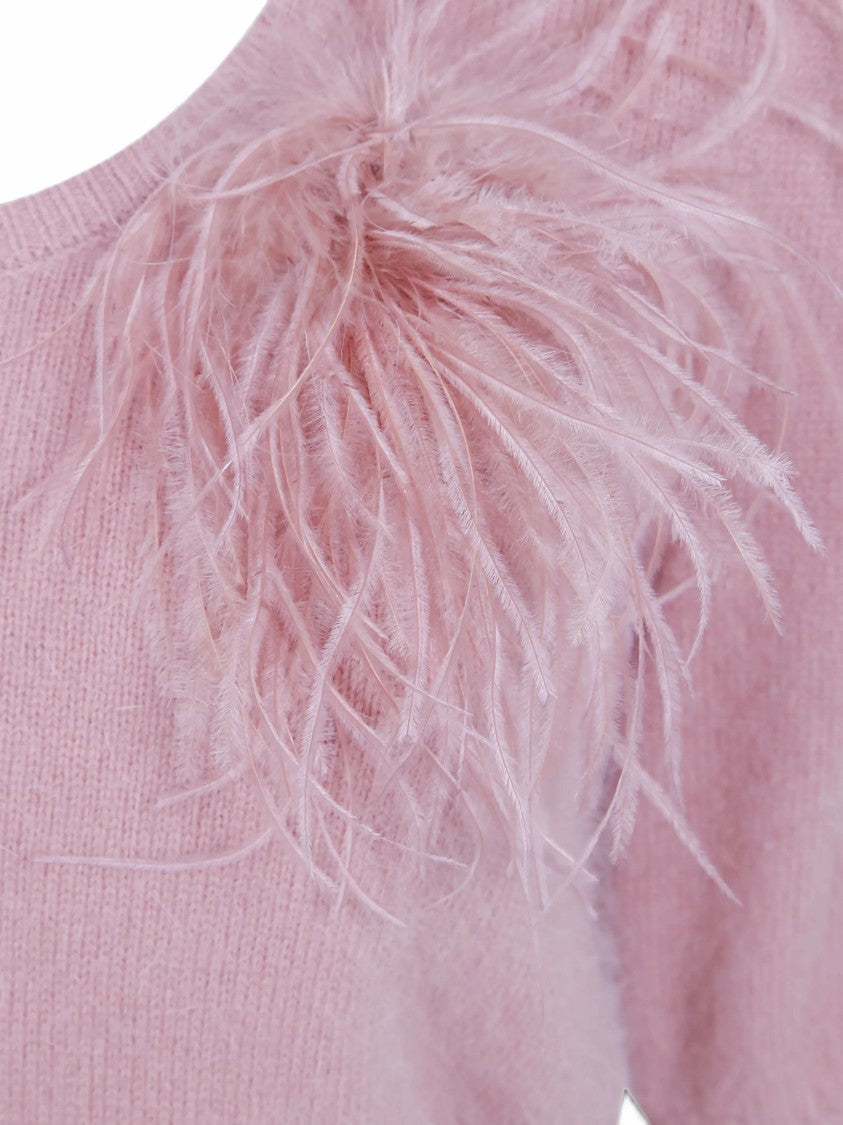 Twin-Set Short-Sleeved Knit Top With Feather Embellishment