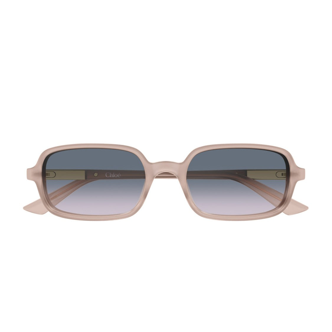 Chloé Pink Ch0363s Oversized Rectangular Acetate Sunglasses