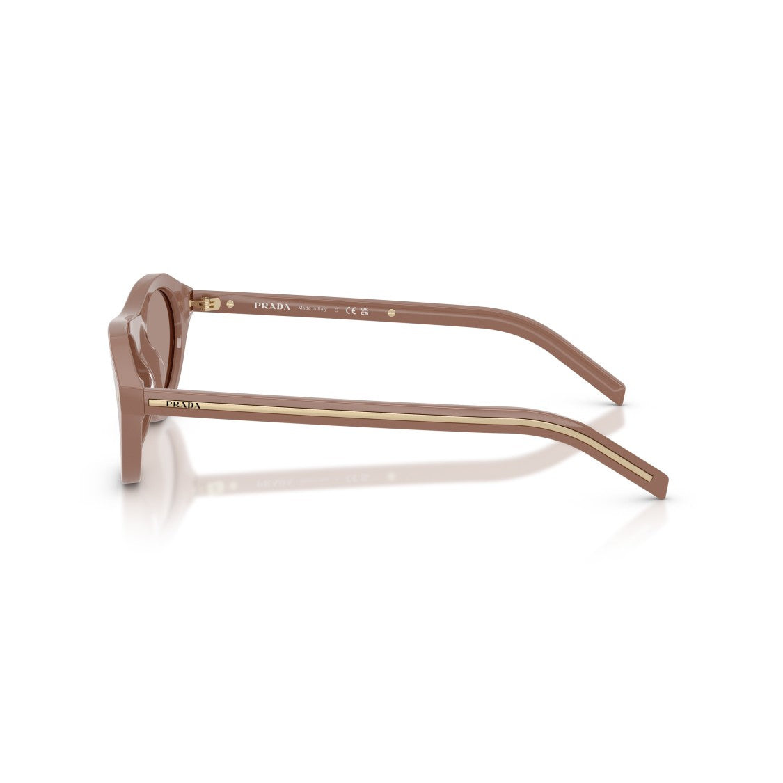 Prada Rounded Cat-Eye Acetate Sunglasses With Gold Accents