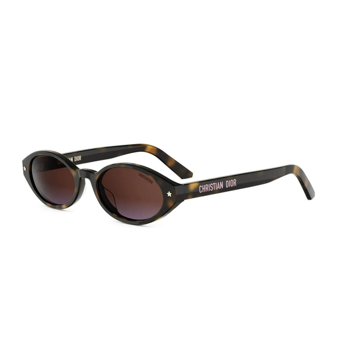 Dior Diorpacific R1i Oval Sunglasses With Tortoiseshell Frame