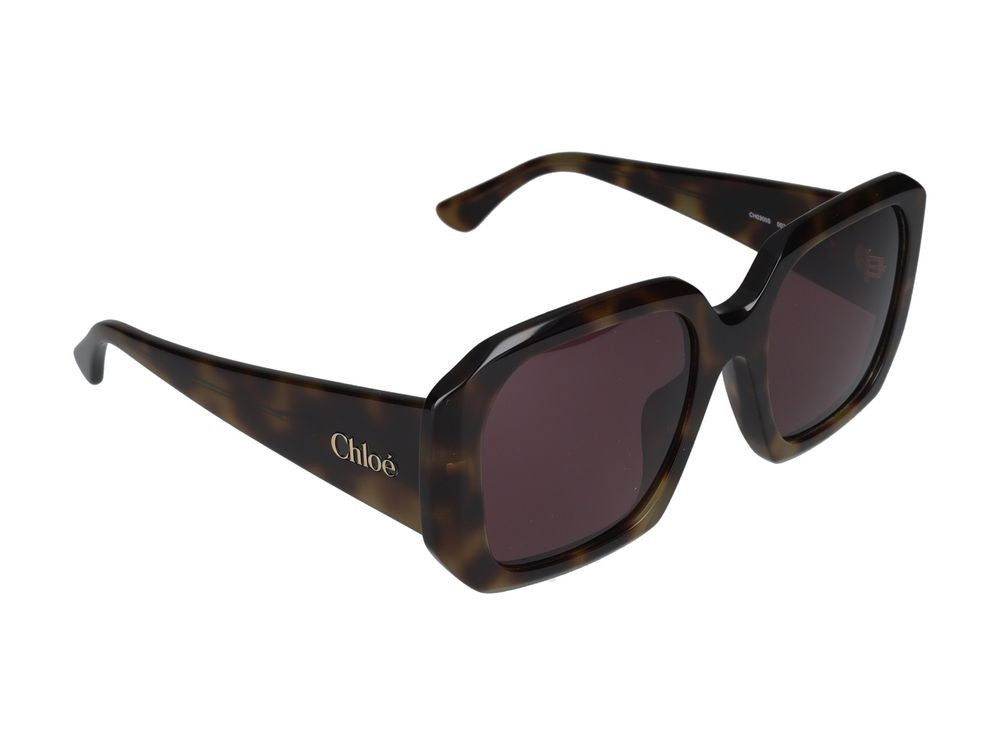 Chloé Sunglasses Ch0300s 002 Havana Havana Violet 54/20/140