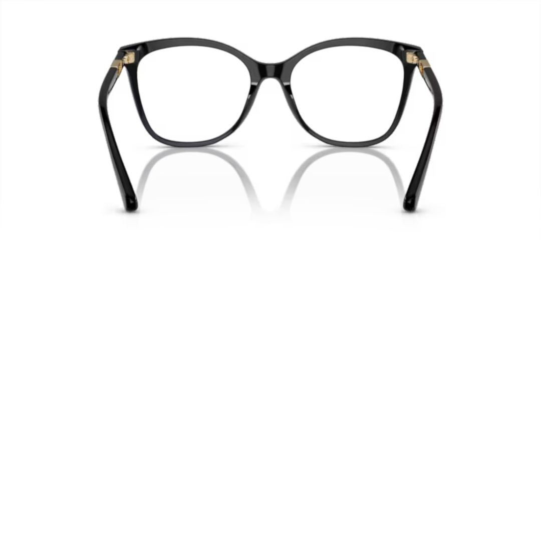 Emporio Armani 3231 Vista Cat-Eye Black Acetate Sunglasses With Gold Accents