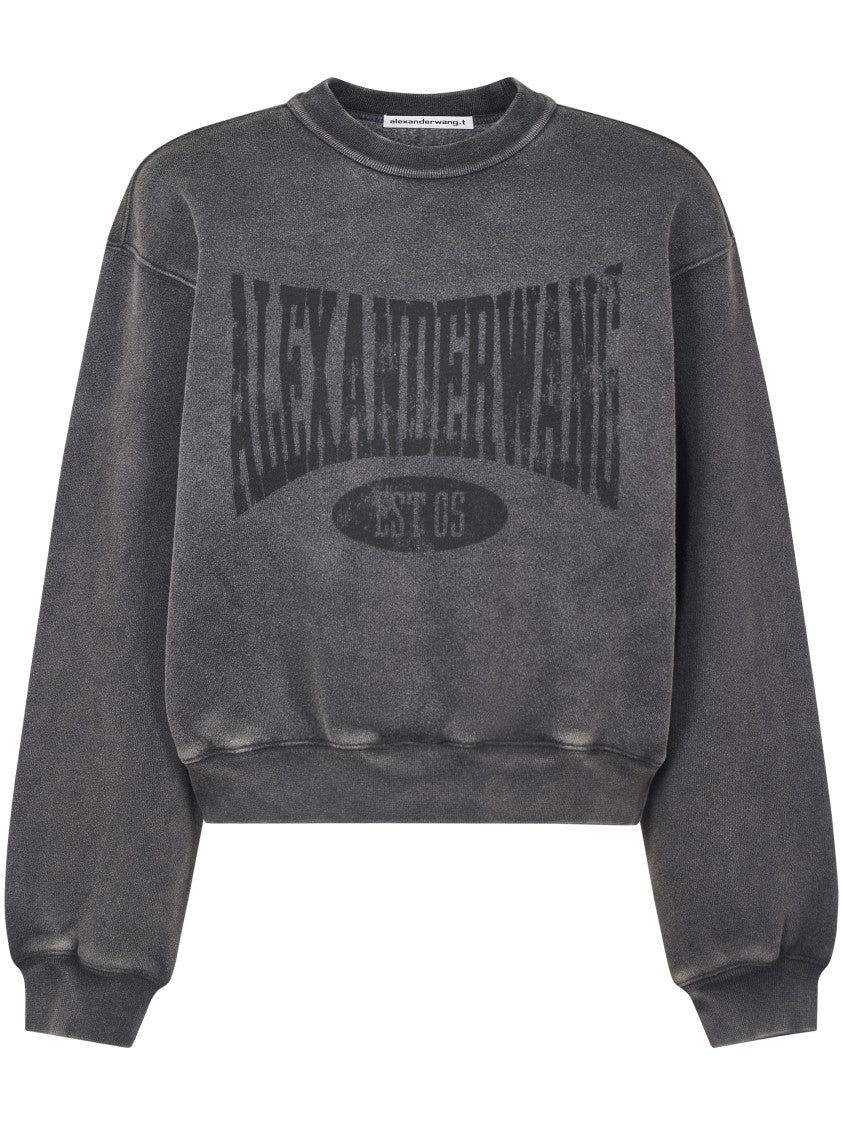Alexander Wang Graphic Crewneck Sweatshirt