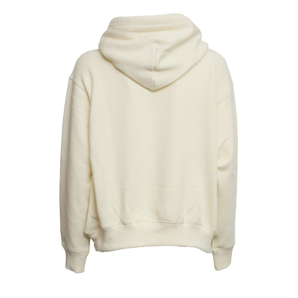 Polo Ralph Lauren Polo Bear Printed Hooded Over Hoodie