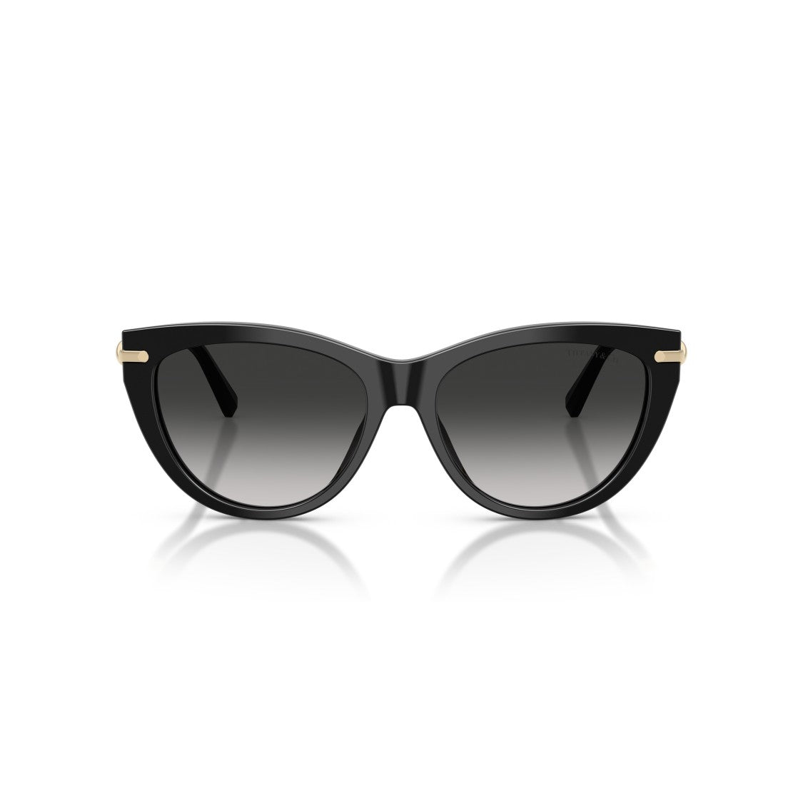 Tiffany & Co. 0Tf4253 Cat-Eye Sunglasses