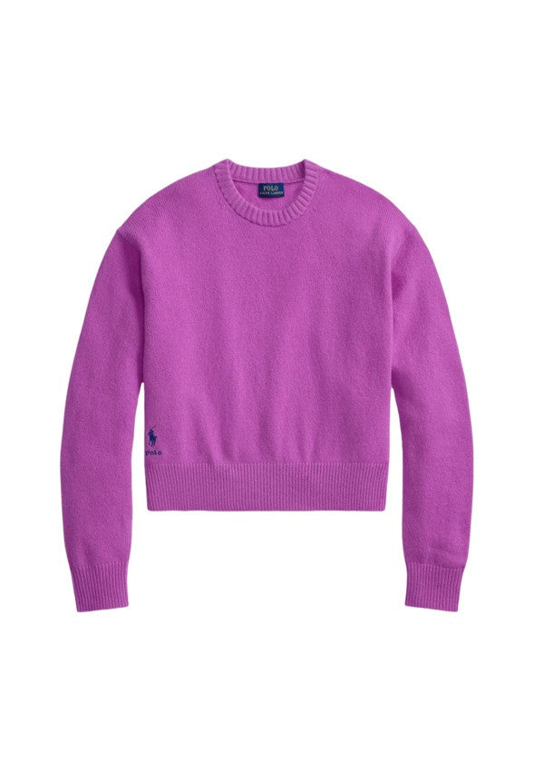 Polo Ralph Lauren Roomy Ribbed Neckline Sweatshirt In Vivid Purple