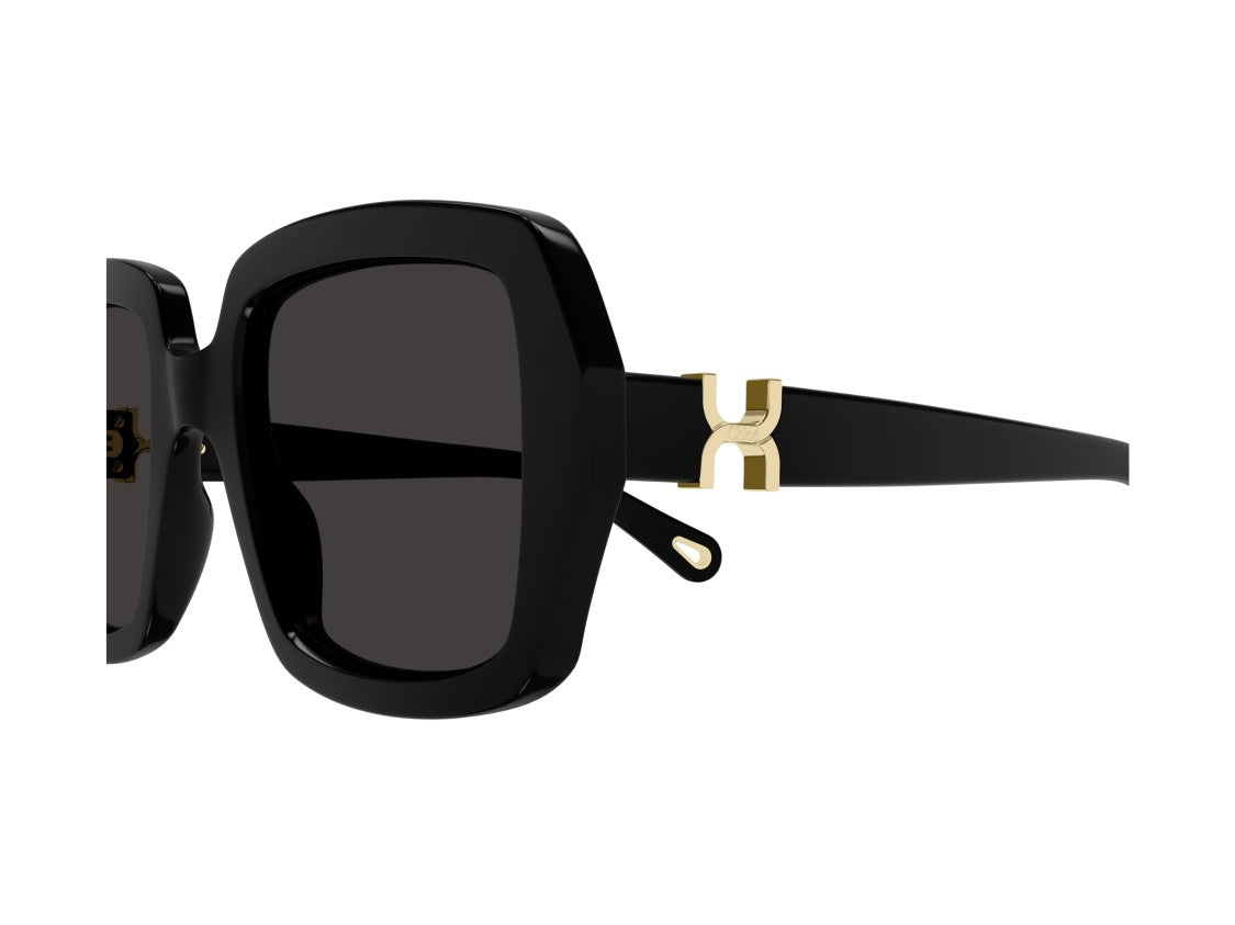 Chloé Black Ch0301s Acetate Square Sunglasses