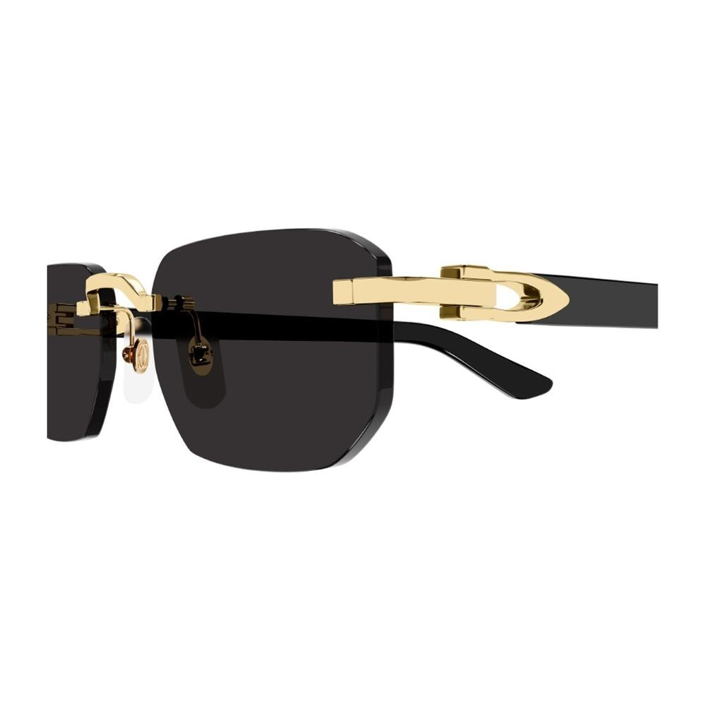 Cartier Ct0622s Décor C Allongé De Cartier Sunglasses