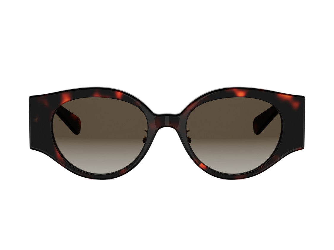 Celine Cl40341f Tortoiseshell Oversized Round Frame Sunglasses