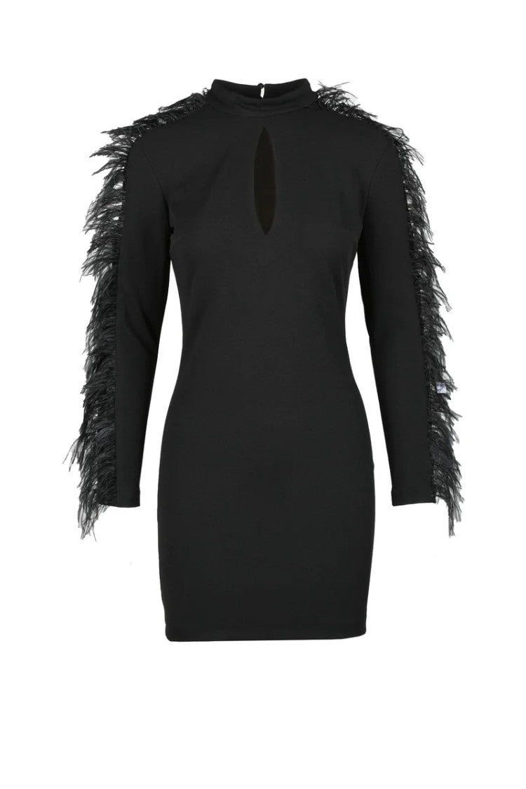 Spell By Access Fashion Fitted Mini Dress With Feathered Fringes