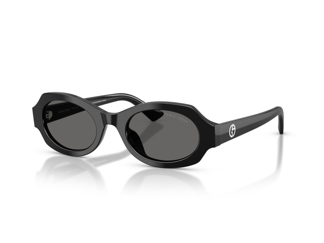 Giorgio Armani 0Ar8245hu Glossy Acetate Oversized Round Sunglasses