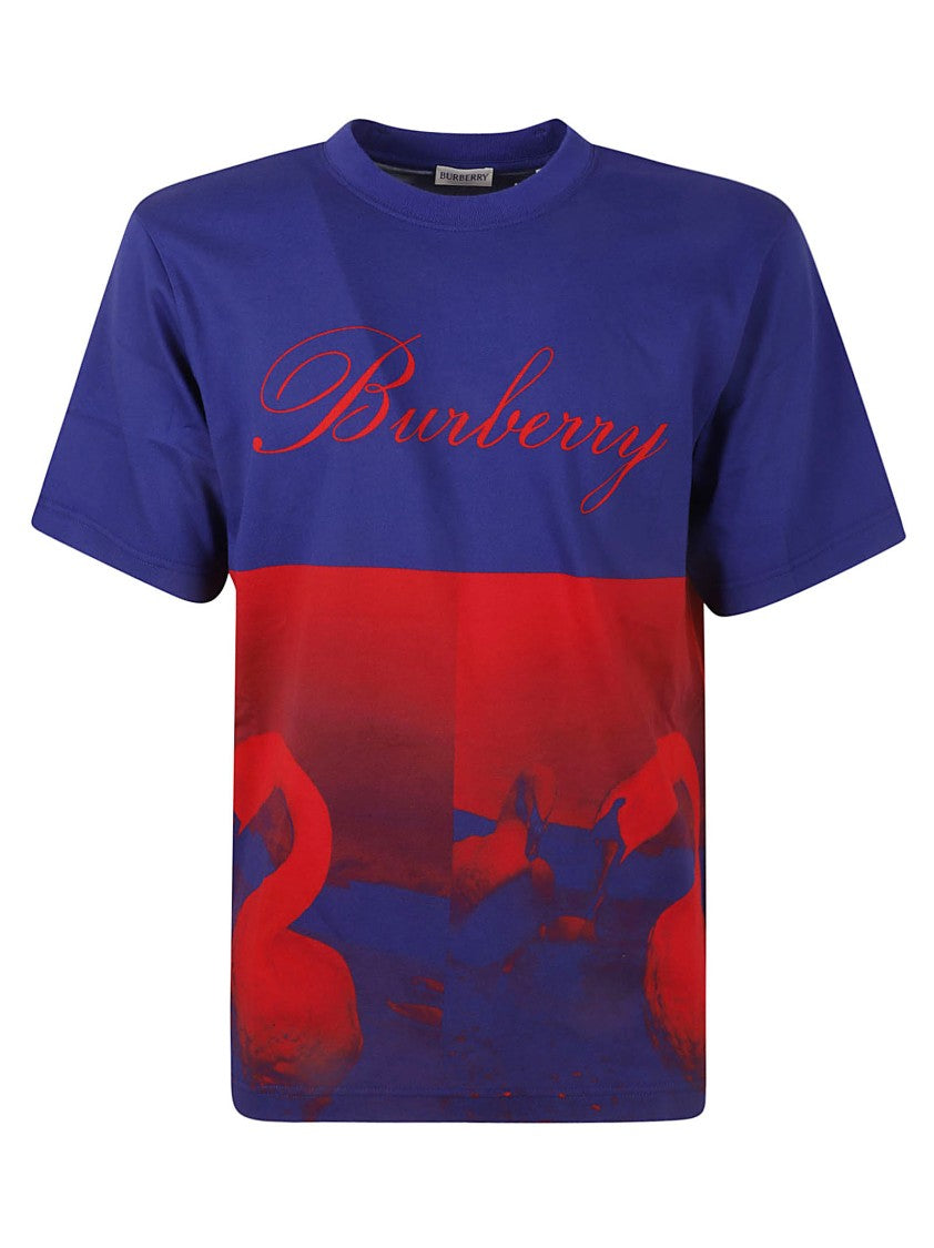 Burberry Color-Blocked Graphic Print T-Shirt