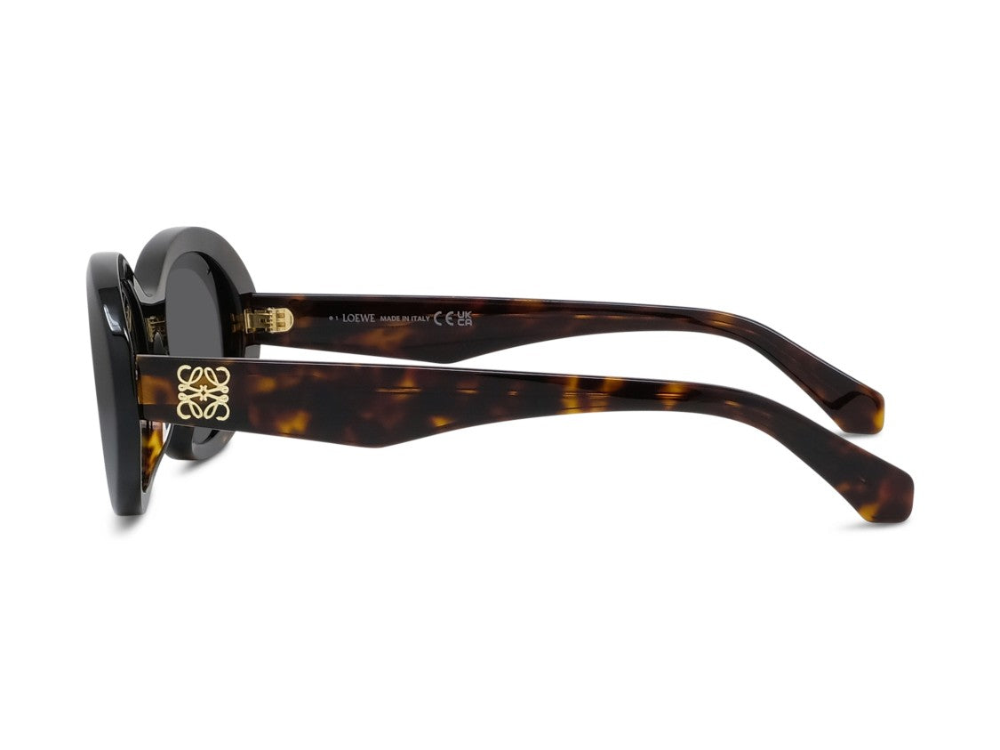 Loewe Lw40190i Oversized Round Tortoiseshell Sunglasses