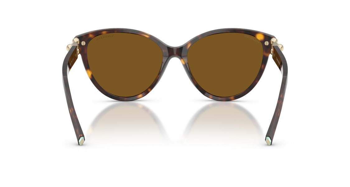 Tiffany & Co. 0Tf4261 Rounded Cat-Eye Sunglasses