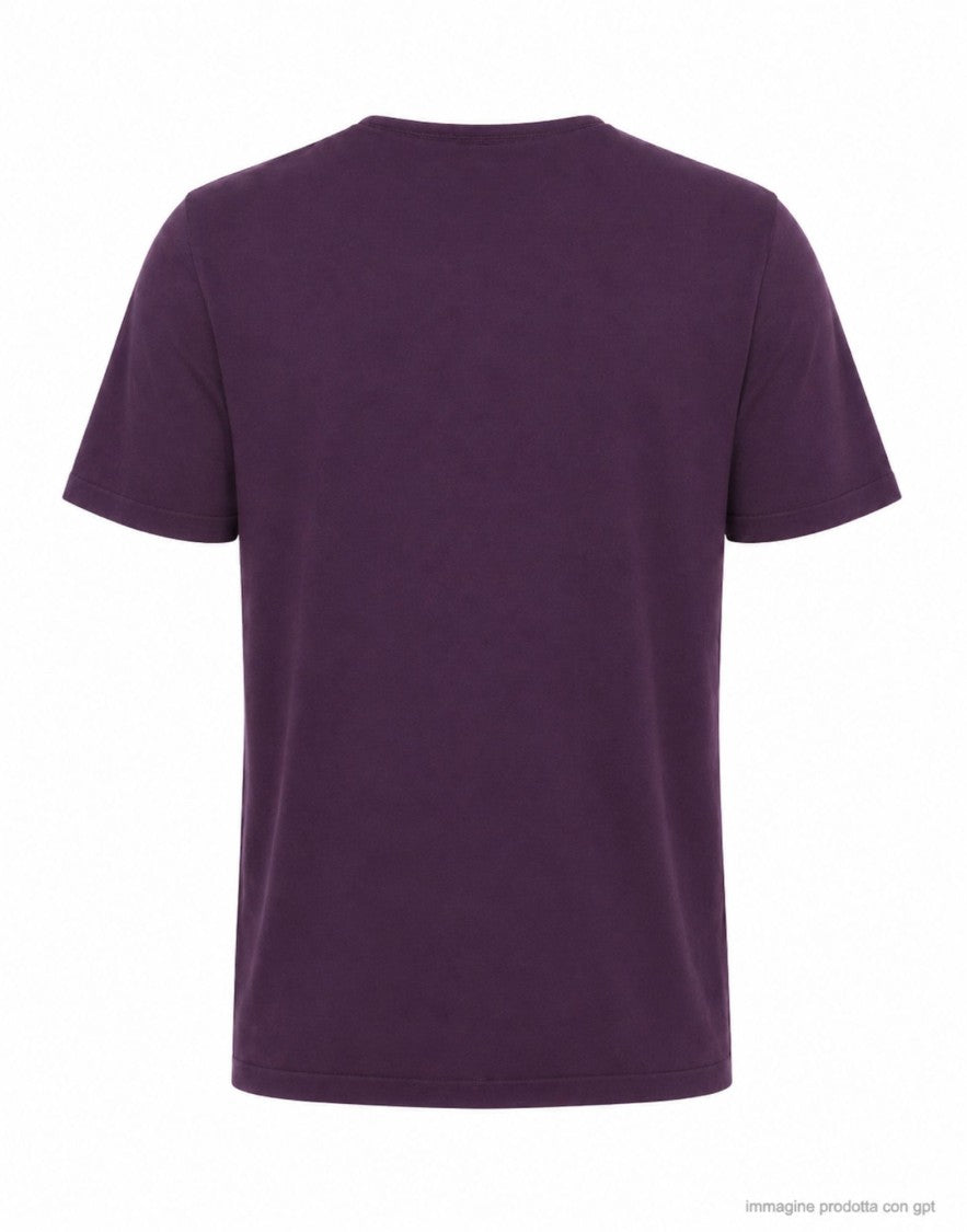 Fabrizio Del Carlo Purple Regular Fit Cotton Round Neck T-Shirt