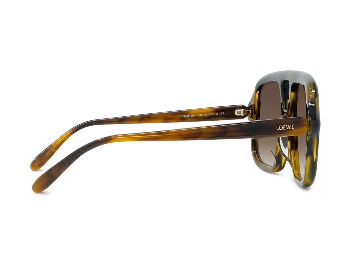 Loewe Tortoiseshell Lw40161u Oversized Square Acetate Sunglasses