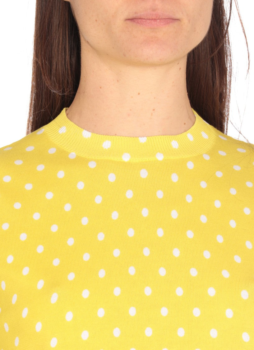 Fabiana Filippi Cotton Sweater With All-Over Polka Dot Pattern