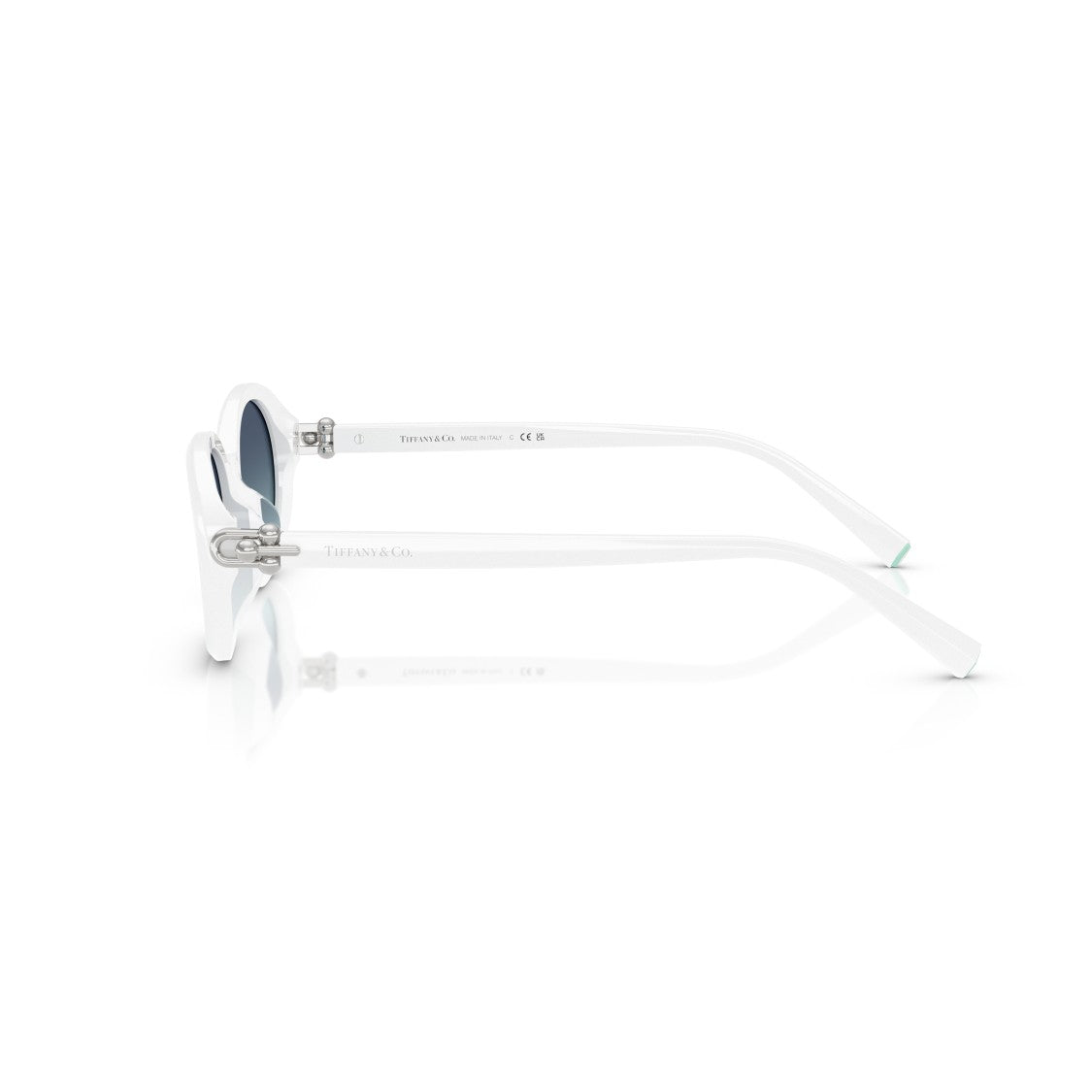 Tiffany & Co. 0Tf4242d Oval-Shaped Sunglasses