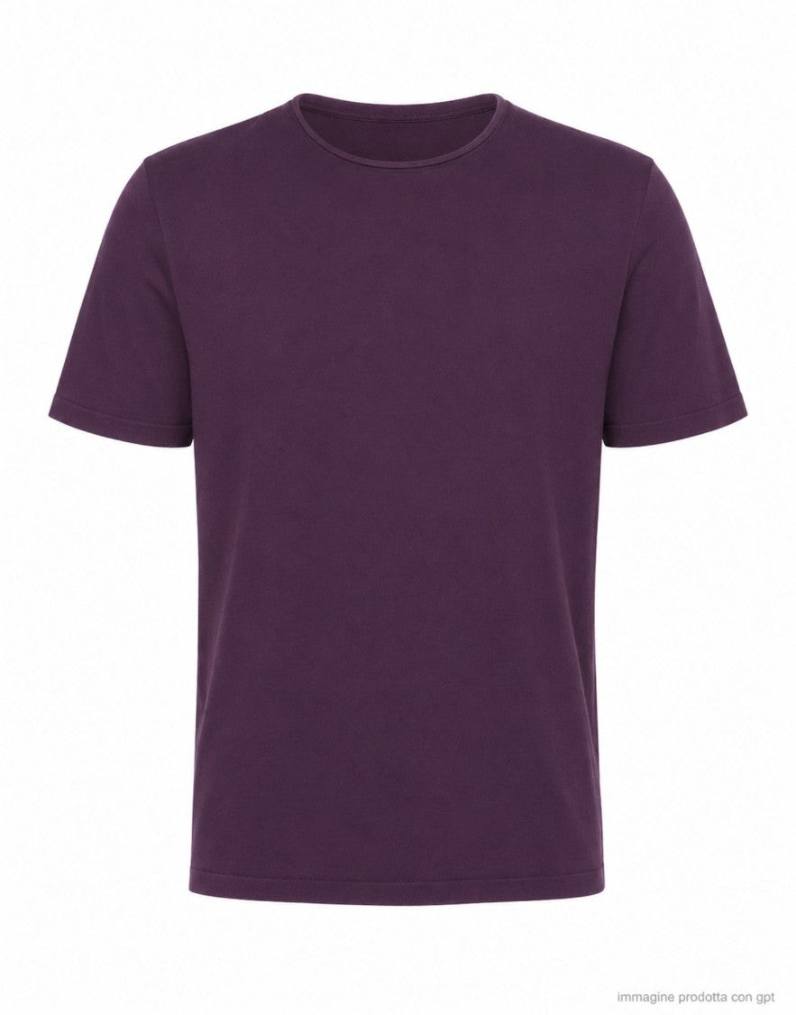 Fabrizio Del Carlo Purple Regular Fit Cotton Round Neck T-Shirt