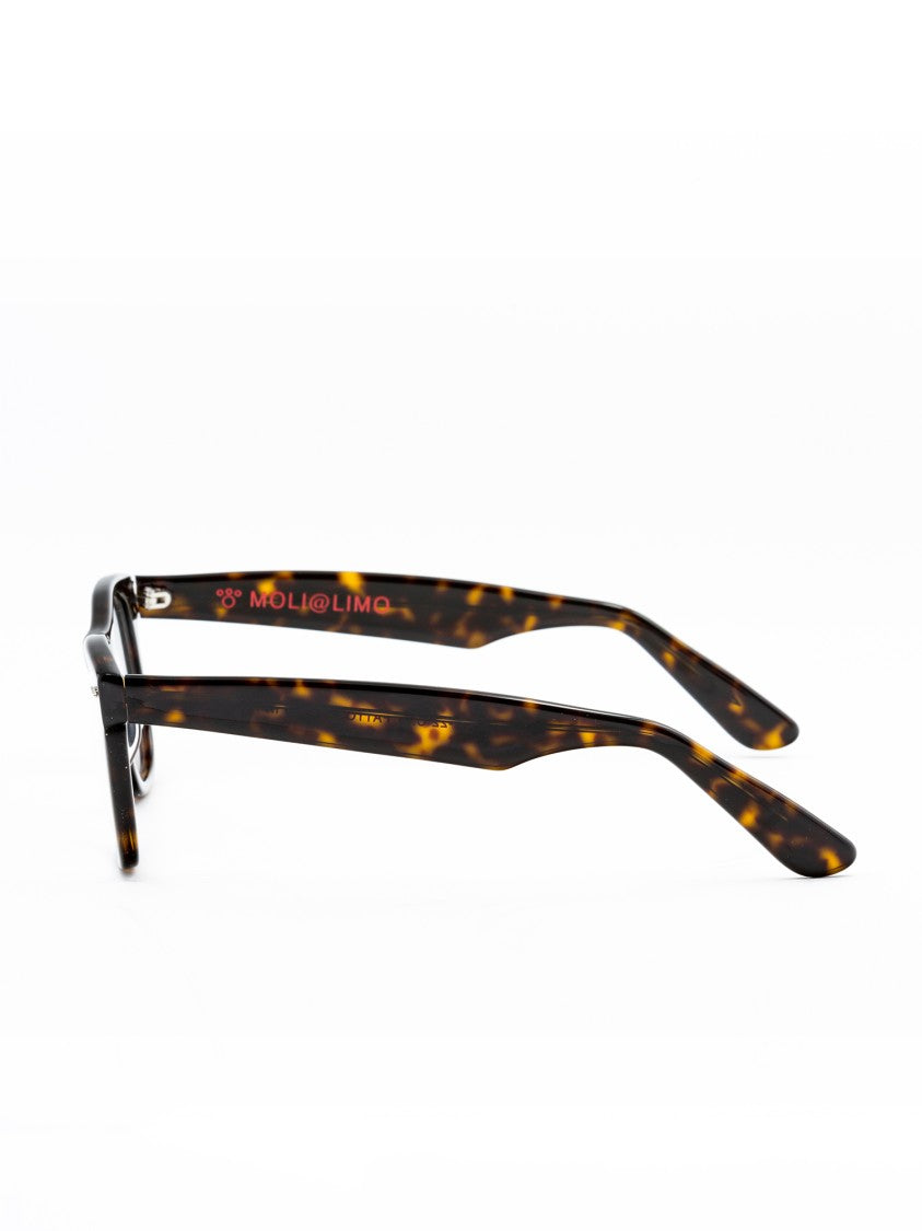 Moli@Limo Brown Eb93 Acetate Modern Frames