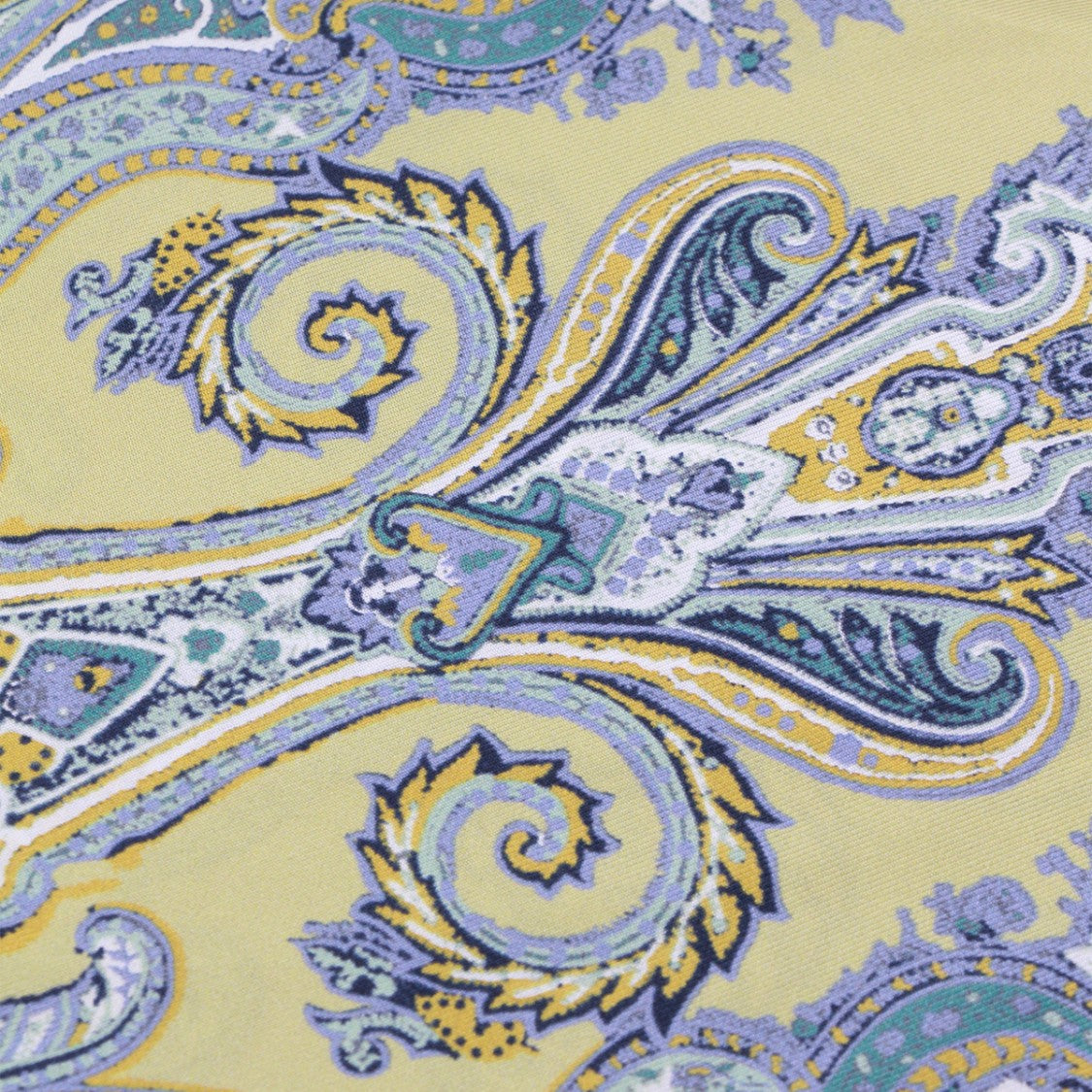 Etro Intricately Patterned Paisley Scarf