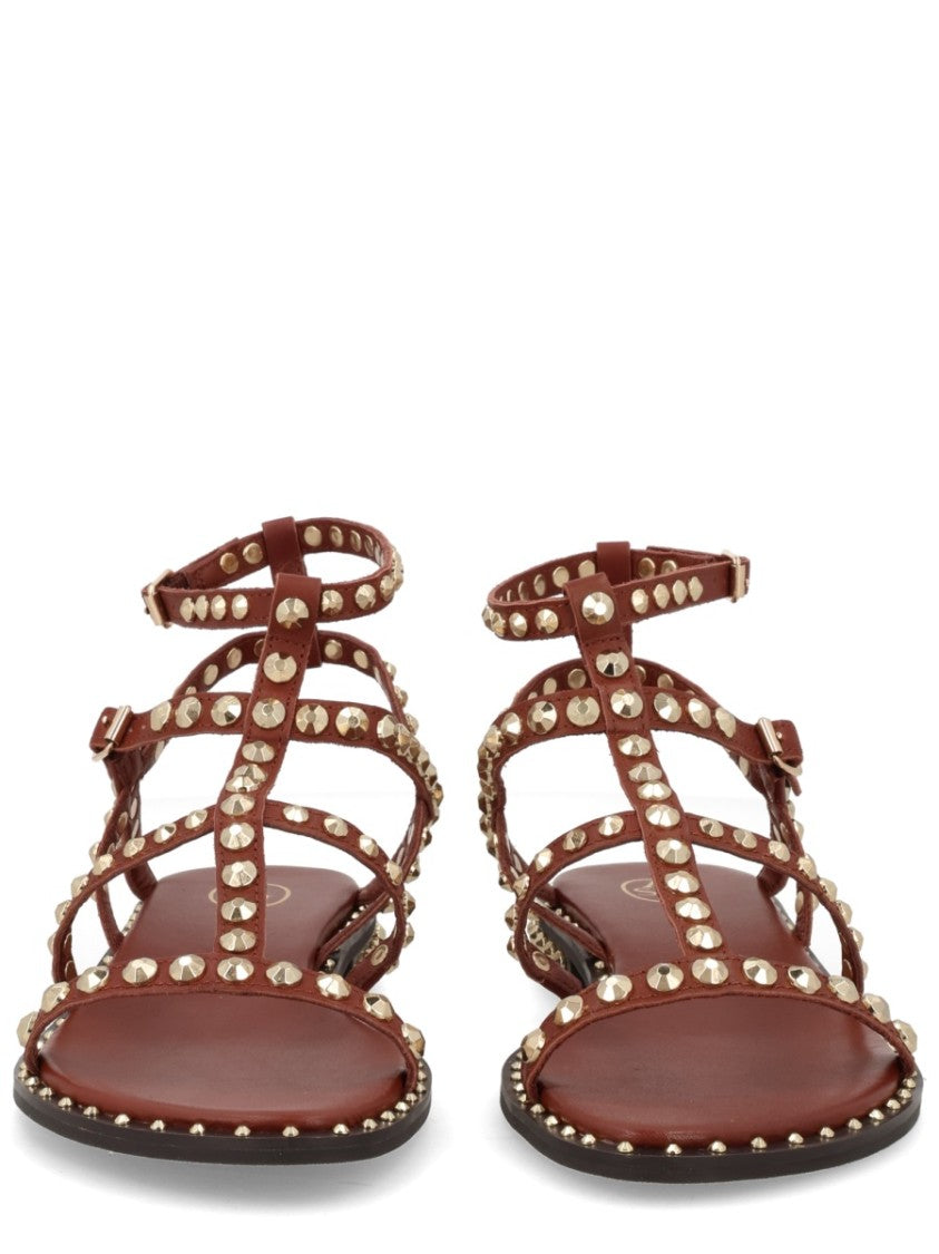 Ash Gladiator Buckles Studded Flat Sandals