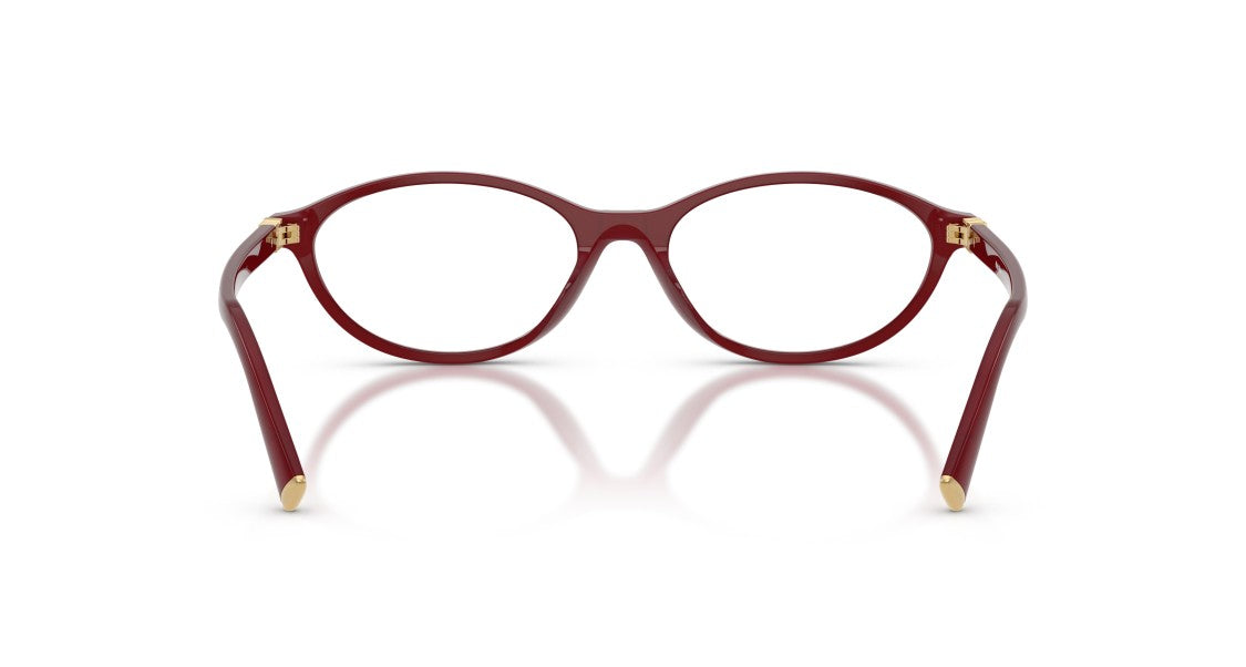 Miu Miu Oversized Round Acetate Eyeglasses With Gold Accents