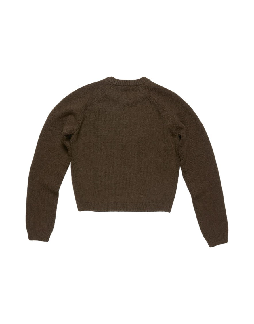 Acne Studios Brown Long-Sleeved Sweater