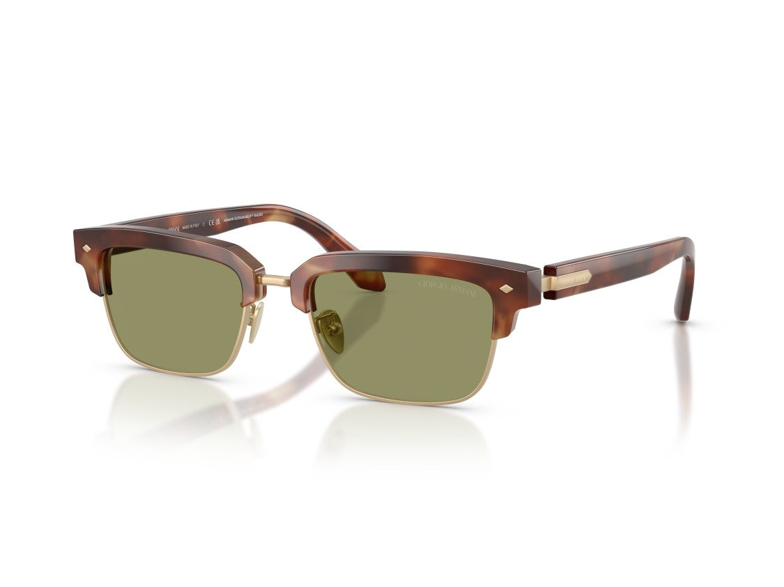 Giorgio Armani Gold 0Ar8243 Tortoiseshell Acetate Sunglasses