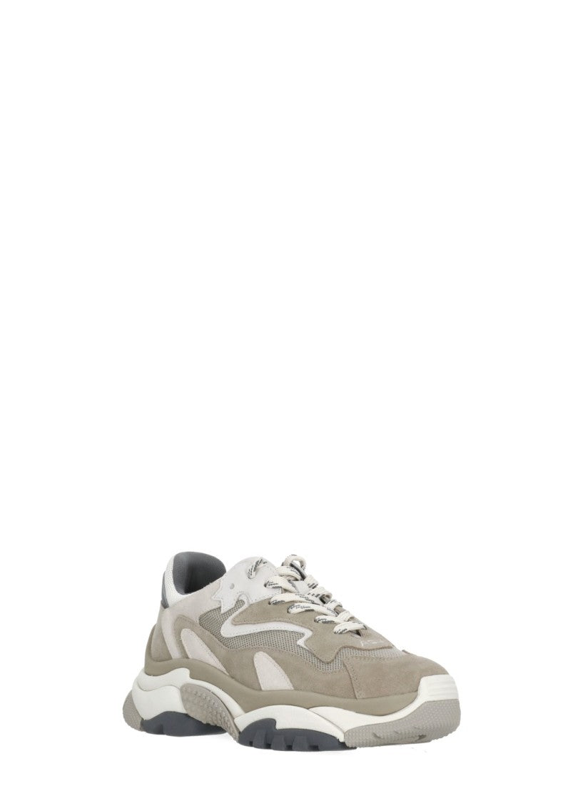 Ash Addict Suede Sneakers