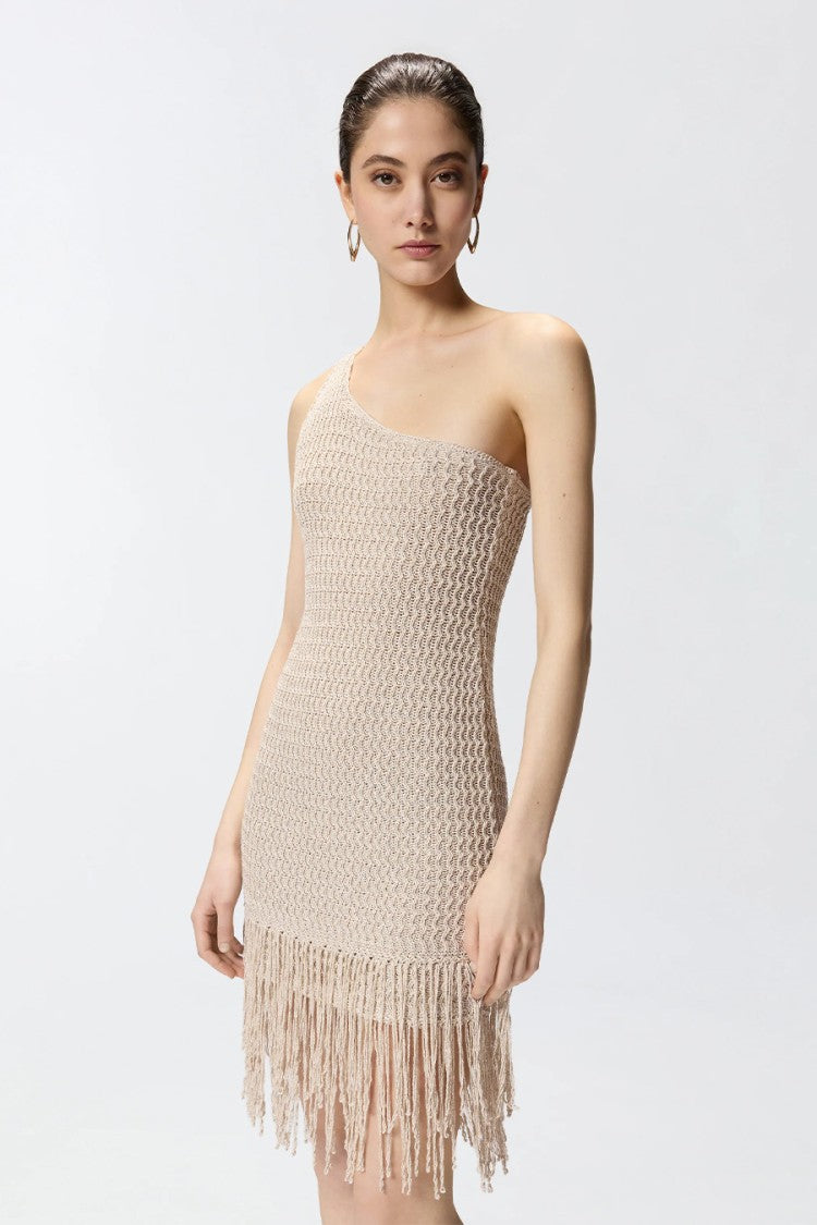 Pinko Grey Juniperos One-Shoulder Fringed Viscose-Blend Mini Dress