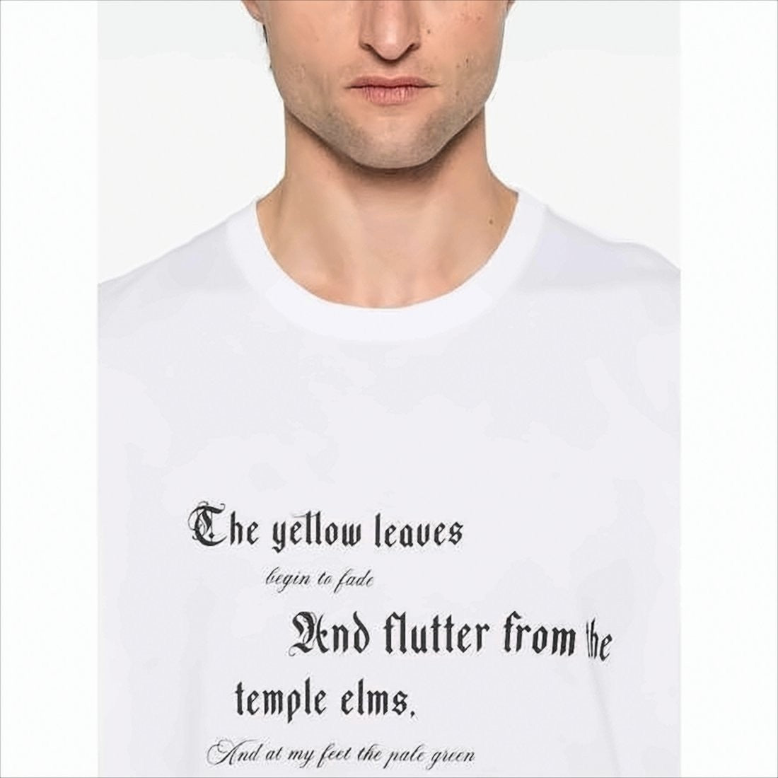 Alexander Mcqueen Graphic White T-Shirt With Gothic Print