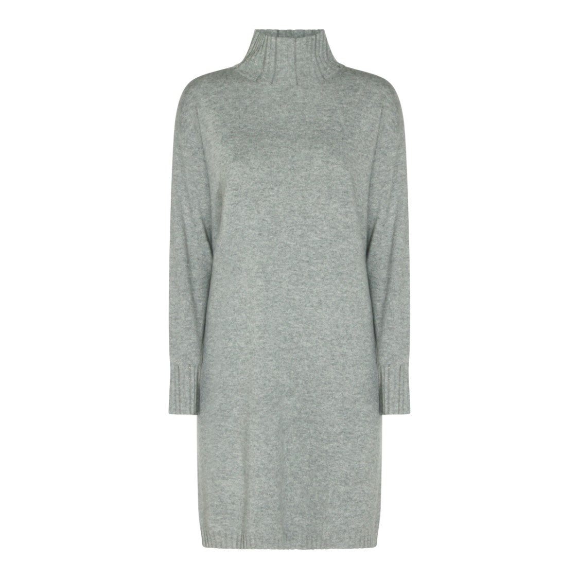 Fabiana Filippi Mini Dress With Ribbed Turtleneck And Long Sleeves